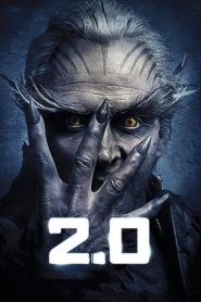 2.0 Hindi HD (2018) WEBRip