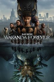 Black Panther: Wakanda Forever (2022) Hindi Dubbed WEBRip